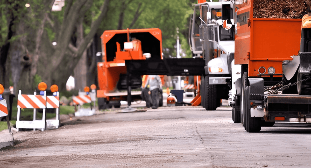 Residential & Commercial Tree Care