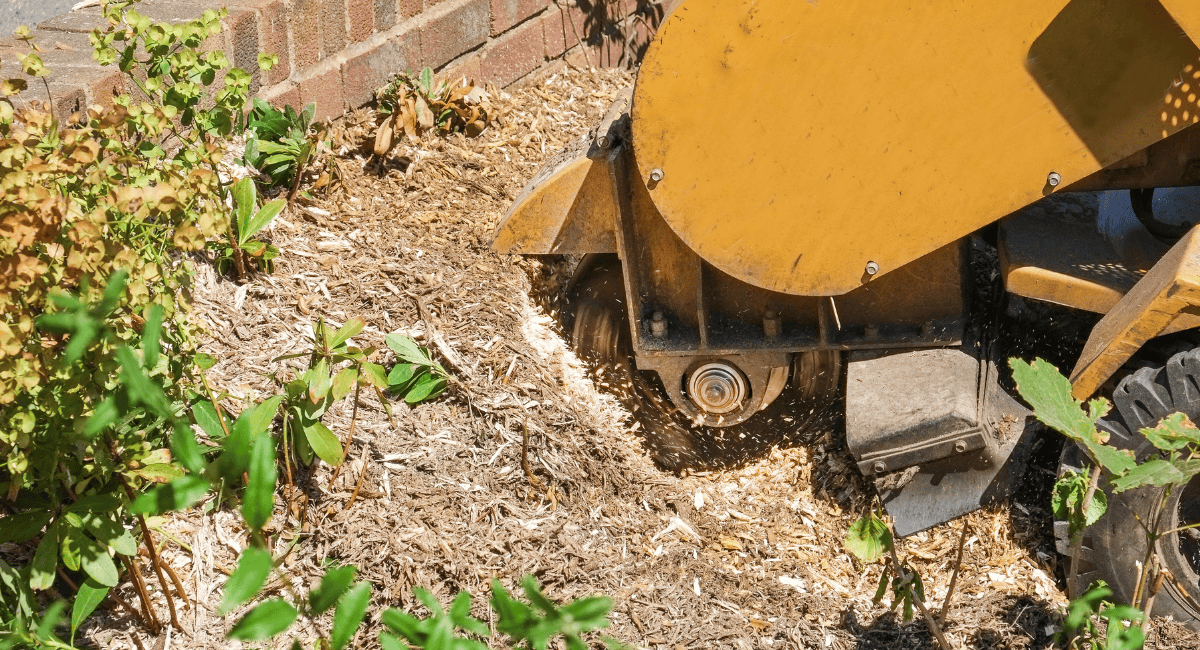 Stump Grinding